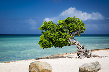 阿鲁巴雷纳－比特里克斯机场三字代码(AUA),雷纳－比特里克斯机场(Reina Beatrix Airport)四字码,阿鲁巴机场三字码查询