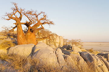 博茨瓦纳洛巴策三字代码(LOQ),洛巴策(Lobatse)四字码,博茨瓦纳机场三字码查询
