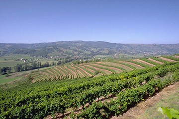 瓦利斯和富图纳群岛瓦利斯岛机场三字代码(WLS),瓦利斯岛机场(Wallis Hihifo airport)四字码,瓦利斯和富图纳群岛机场三字码查询