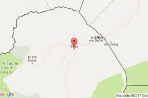 比劳港口查询_birao港口代码_中非比劳港口代码