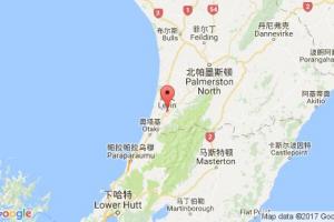 莱文港口查询_levin港口代码_新西兰莱文港口代码