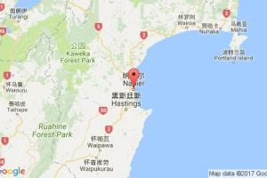 纳皮尔港口查询_napier港口代码_新