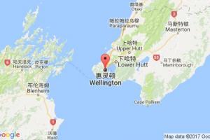 惠灵顿港口查询_wellington港口代