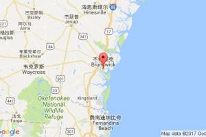 不伦瑞克港口查询_brunswick,ga港口代码_美国不伦瑞克港口代码